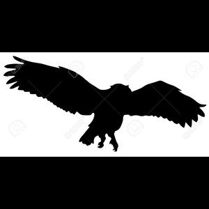 Meet your Posher, Evans