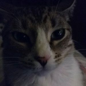 Meet your Posher, Patricia