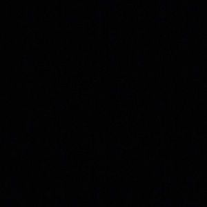 Meet your Posher, Autumn