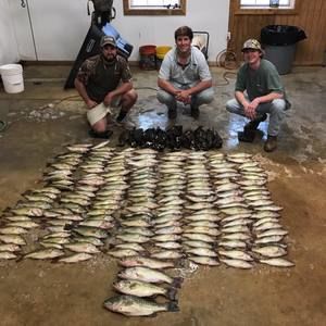 Meet your Posher, Davis