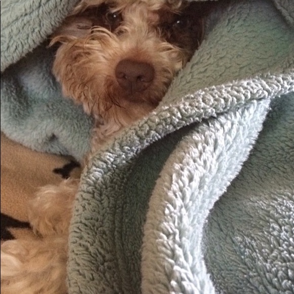 Meet mu... - Picture 3 of 4