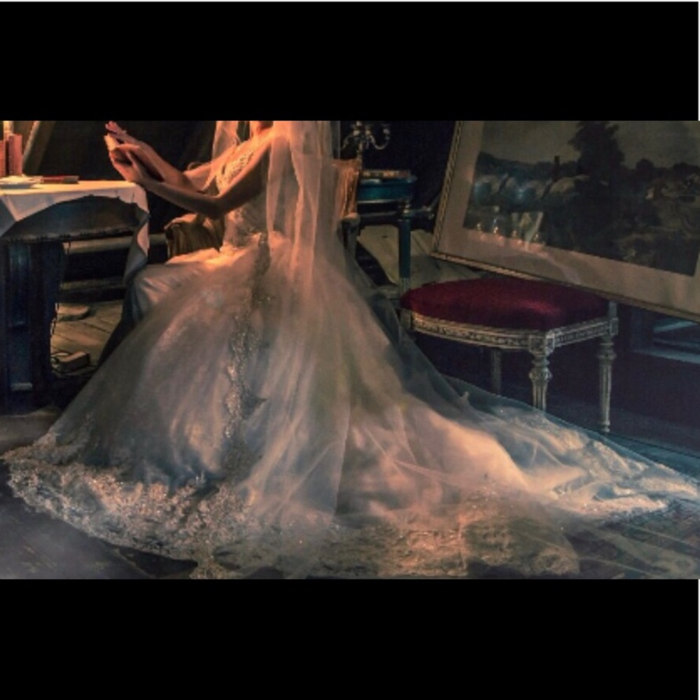 The gown is in perfect condition! Worn once.