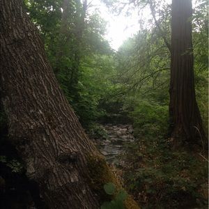 Meet your Posher, Brianne