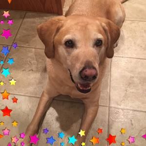 Meet your Posher, Kristina