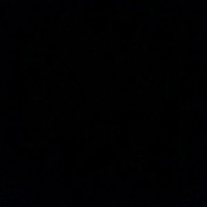 Meet your Posher, Maurice