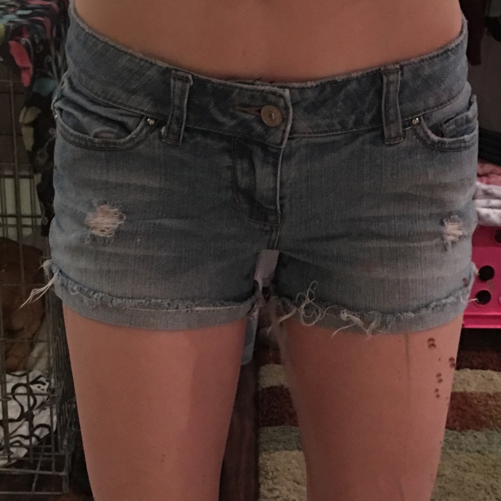 delia shorts