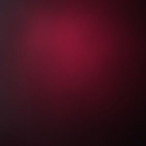 Meet your Posher, Chase