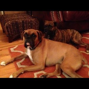 Meet your Posher, Lisa