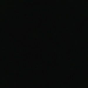 Meet your Posher, Lizette