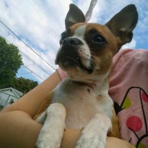 Meet your Posher, Jordan