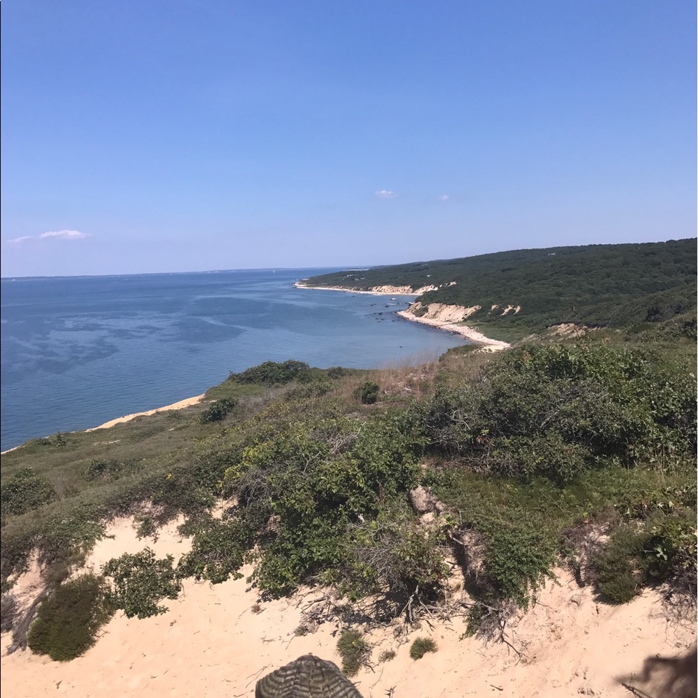 Meet your Posher, Courtney