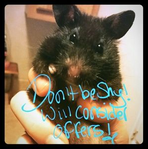 Truffles says, "Don't be shy!"