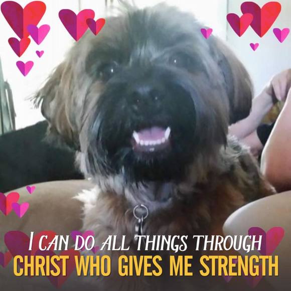 Meet your Posher, Dottie - Picture 1 of 1