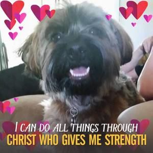 Meet your Posher, Dottie