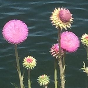 Meet your Posher, Aren