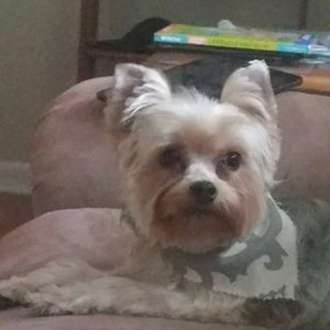 Meet your Posher, Sandra