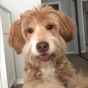 Meet your Posher, Leilanie