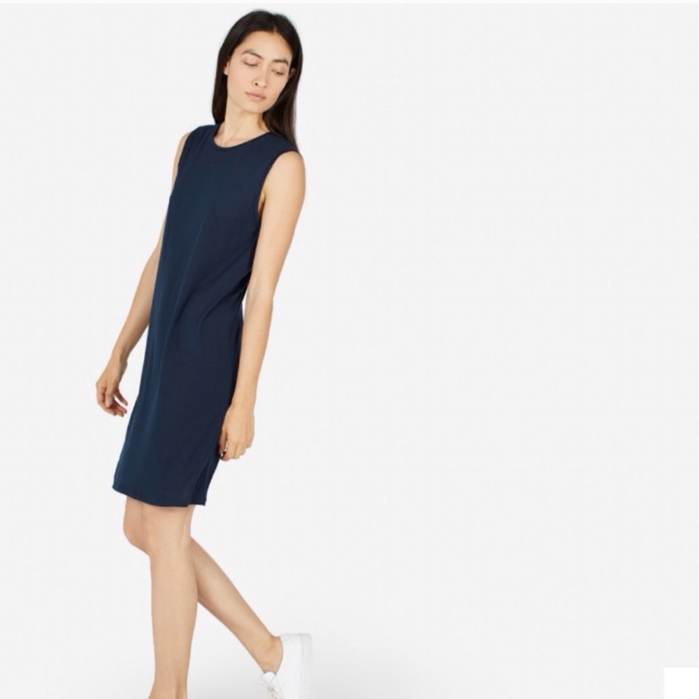 Everlane Luxe Drape Dress