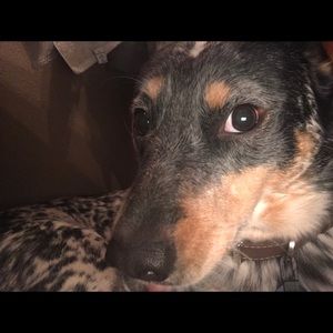 Meet your Posher, Veronica