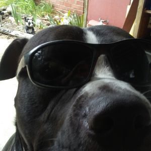 Meet your Posher, Marion