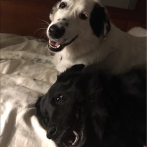 Meet your Posher, Heidi