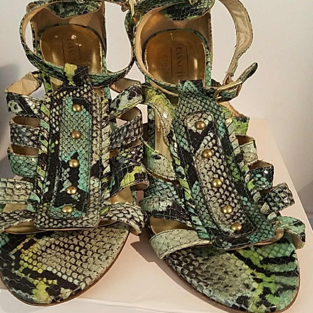 snake skin coach heels