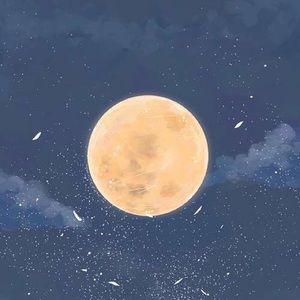 Meet your Posher, Kira