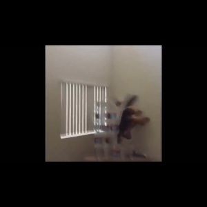 Meet your Posher, Stephen