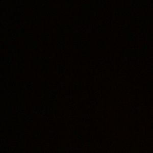 Meet your Posher, Luis