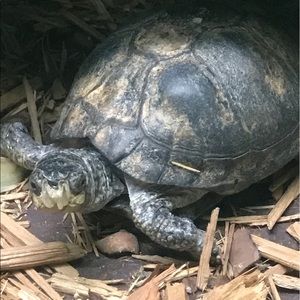 Meet your Posher, Tina