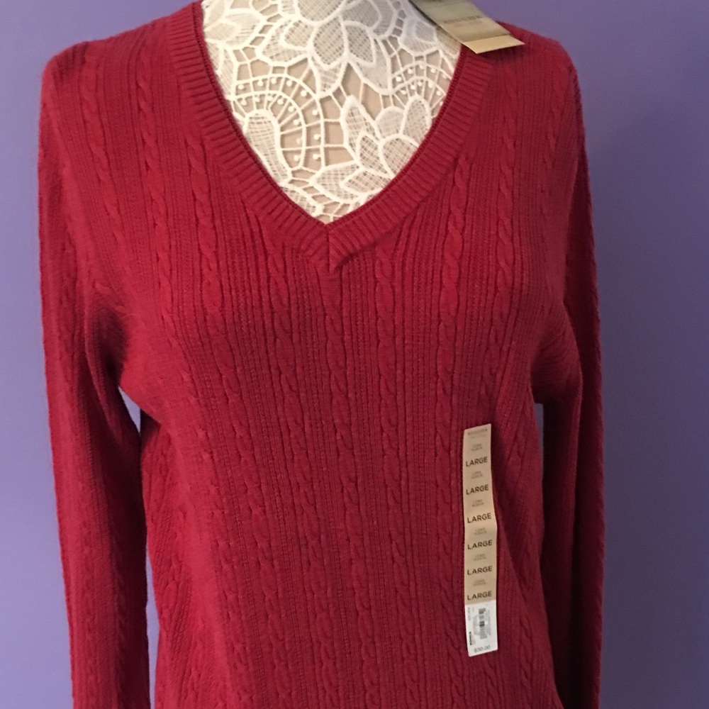 🍎NEW Rust V-Neck Sweater🎉🎉🎉SALE🎉🎉