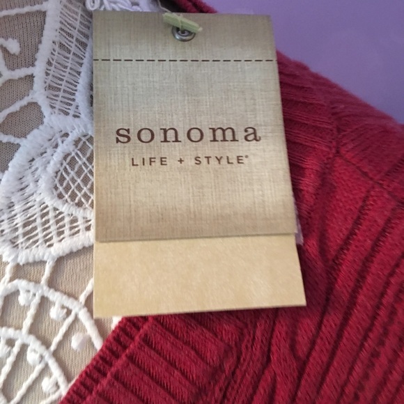 🍎NEW Rust V-Neck Sweater🎉🎉🎉SALE🎉🎉 - Picture 3 of 4