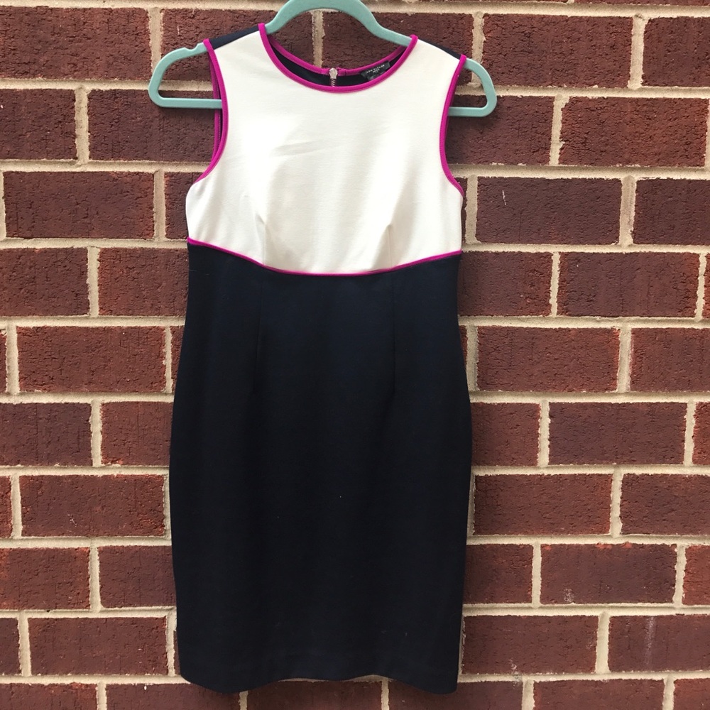 Ann Taylor colorblock shift