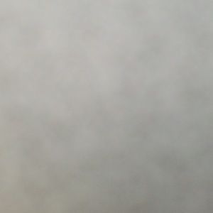 Cat Pandora charm reserved