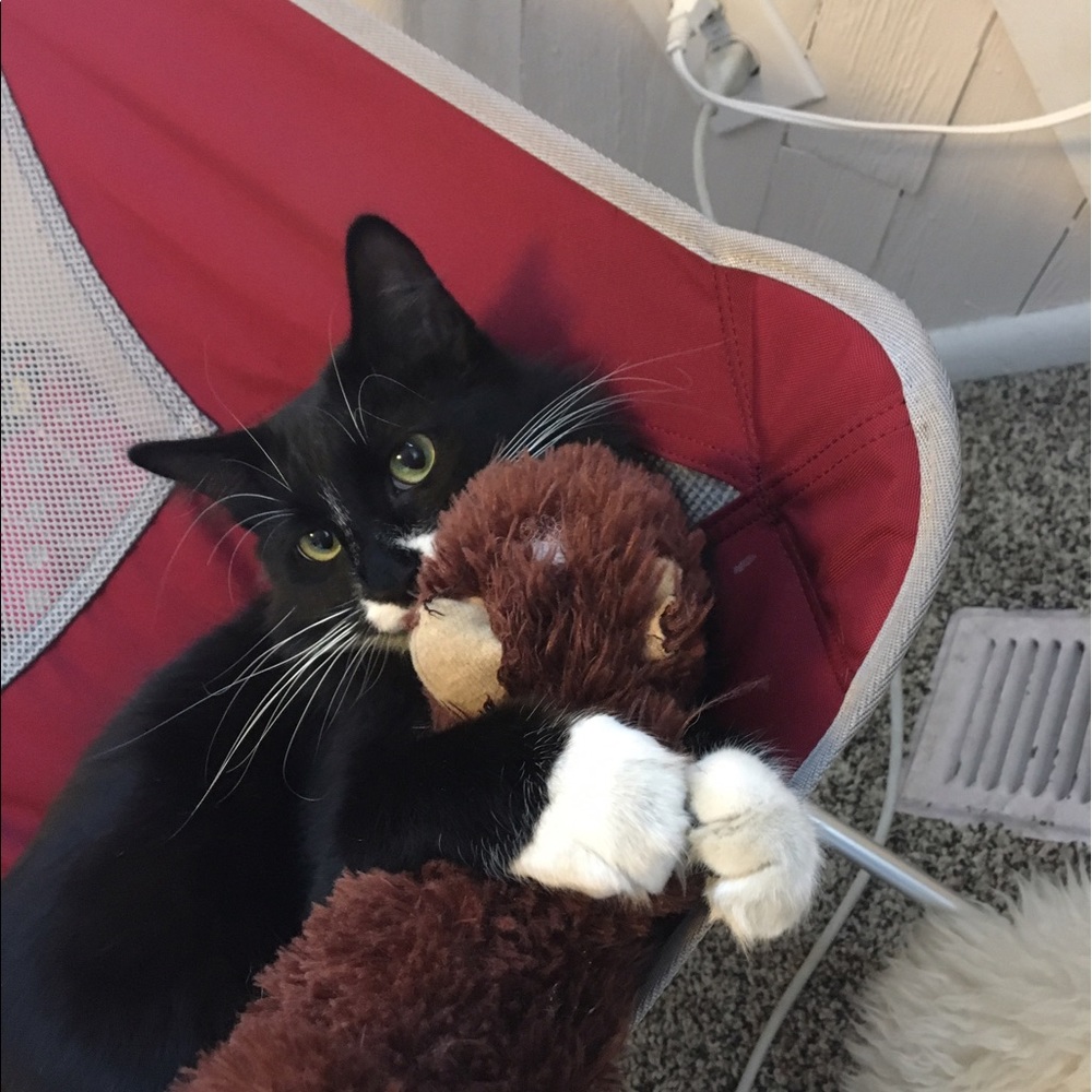 Meet your Posher, Glynis