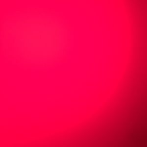 Meet your Posher, Izzy