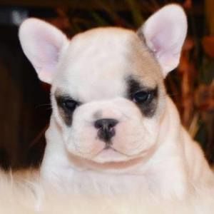 Meet your Posher, Kathleen