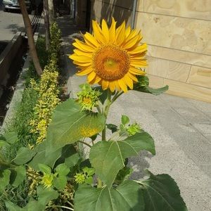 Meet your Posher, Parvin