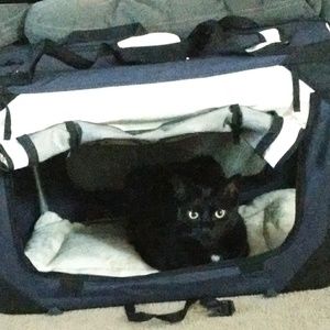 Meet your Posher, Cheryl