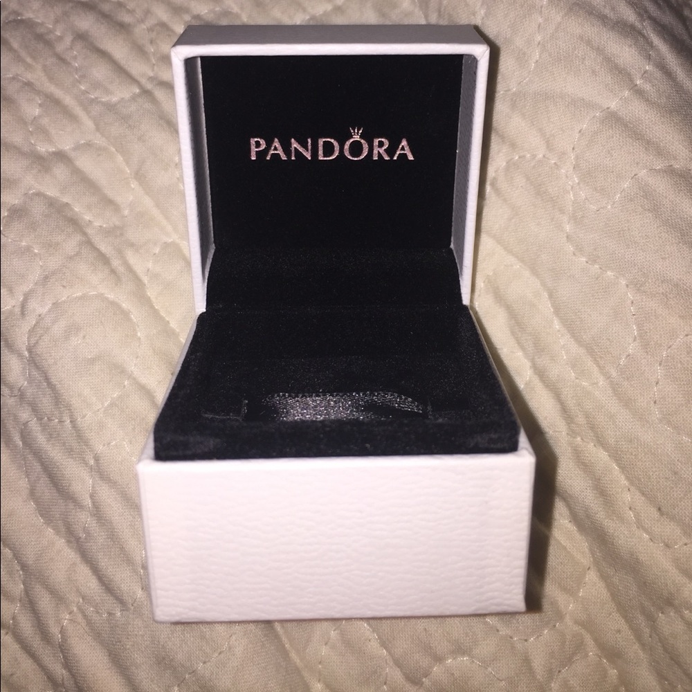 Pandora charm box