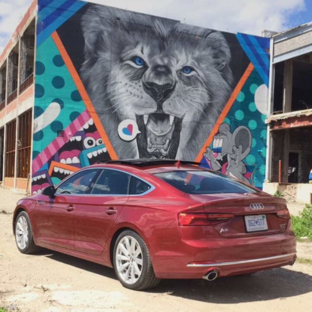 Meet your Posher, Oscar