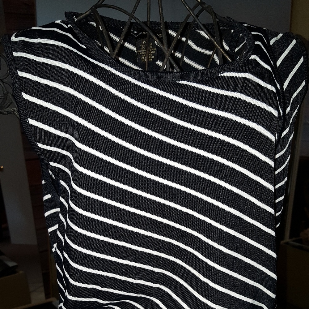 White on black stripped shell