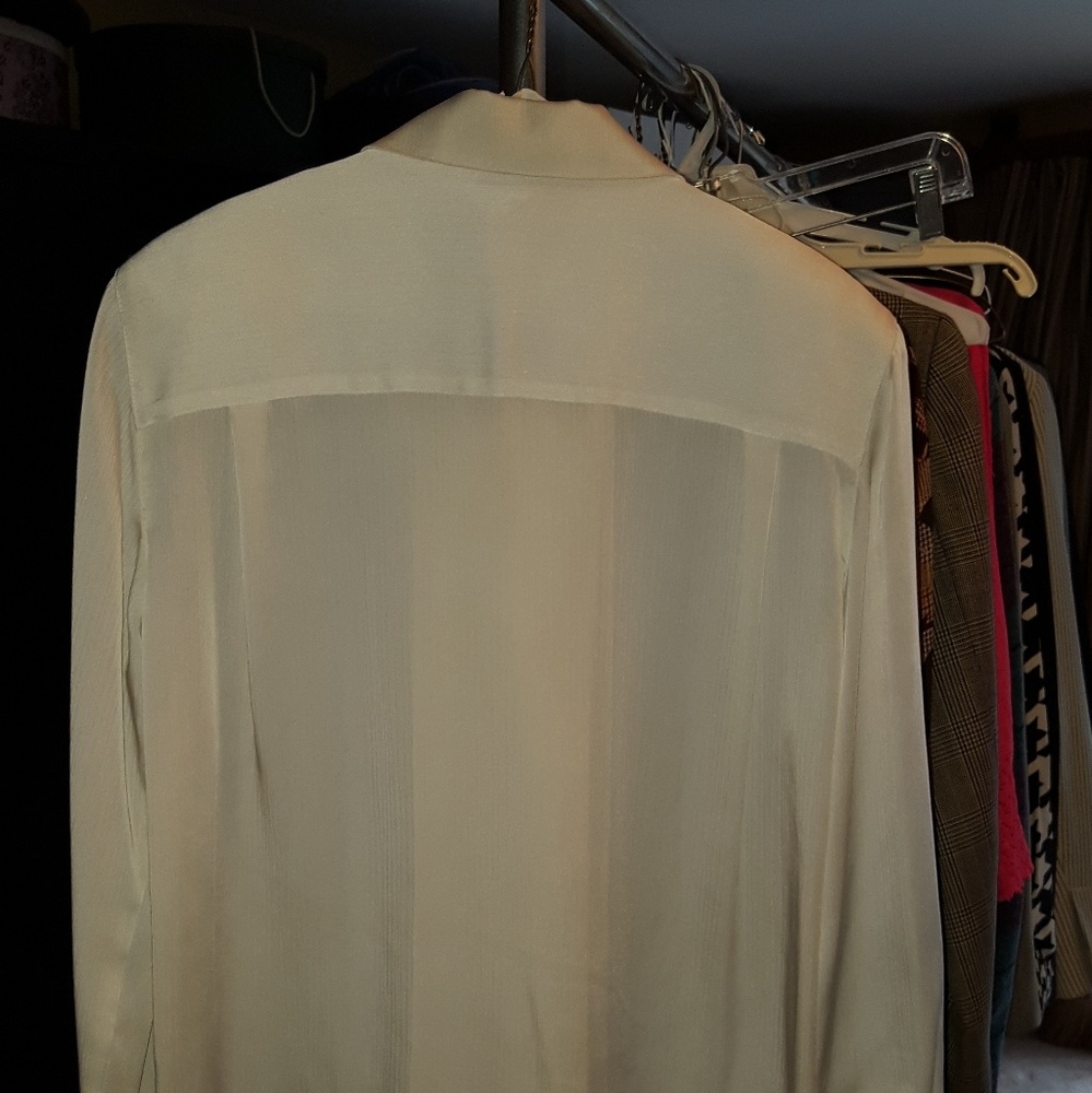 Translucent blouse - Picture 2 of 3