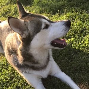 Meet your Posher, Daniela