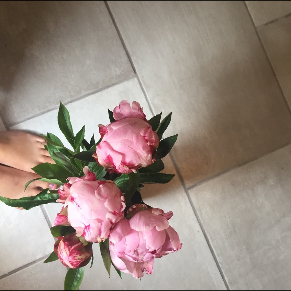 Meet your Posher, Morgan