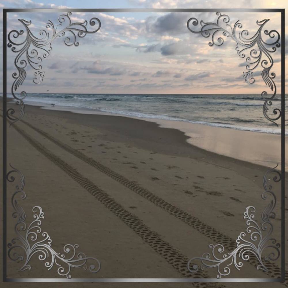 Meet your Posher, Ary