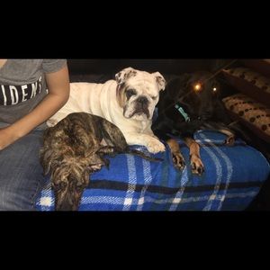 Meet your Posher, Alyssa