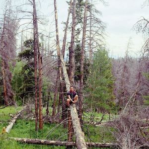 Meet your Posher, Cesar