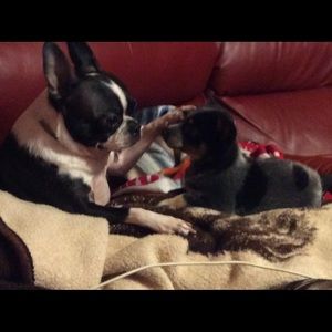 Meet your Posher, Catherine