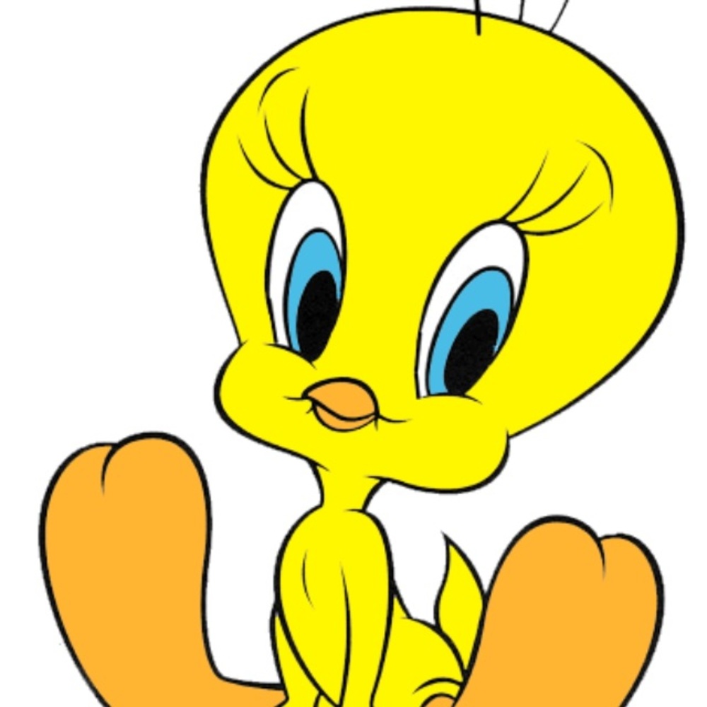 Meet your Posher, Tweety